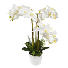 Load image into Gallery viewer, Real Touch Orchid Floral Arrangements and Centerpieces Vase 6783RR
