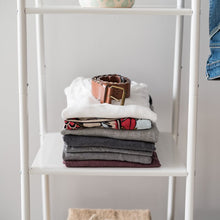 Load image into Gallery viewer, Reavis 16.1&#39;&#39; Clothes Rack 2865AH
