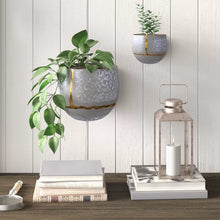 Load image into Gallery viewer, Rolf 2-Piece Galvanized Iron Wall Planter Set
