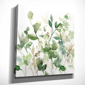32" H x 32" W x 1.5" D Sage Garden Sage Garden I - Painting