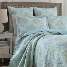 Load image into Gallery viewer, Saltwater Blue Standard Cotton Reversible Quilt Set, twin 7769RR
