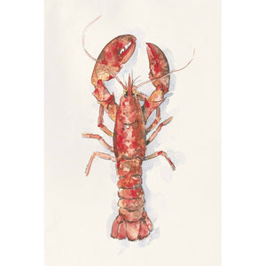 36" H x 24" W x 1.25" D Salty Lobster I by - Wrapped Canvas Painting