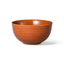 Load image into Gallery viewer, Siterra Stoneware Dinnerware - Set of 16
