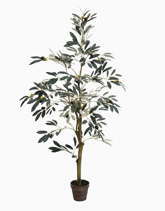 Vickerman 48-in Green Indoor Artificial Olive Trees