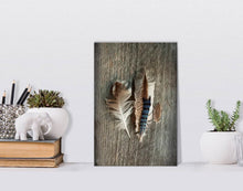 Load image into Gallery viewer, Feather Collection III - Canvas Print, MINI 8×12
