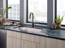 Load image into Gallery viewer, Align Pull-Down Spray Kitchen Faucet
