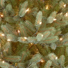 Load image into Gallery viewer, 9 ft. Noble Fir Tree with Clear Lights
