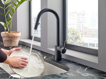 Load image into Gallery viewer, Align Pull-Down Spray Kitchen Faucet
