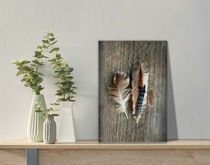 Feather Collection III - Canvas Print, MINI 8×12