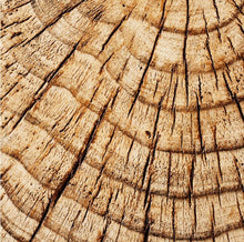 Load image into Gallery viewer, Indoor/Outdoor Faux Concrete Stump Accent Table Brown
