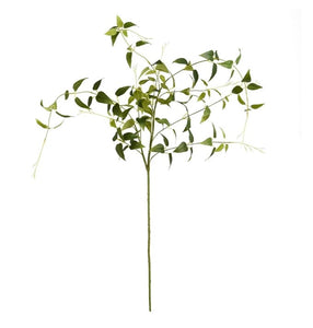 43" Green Clematis Floral Stem, (Set of 3)