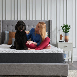 Sealy CopperChill 12" Medium Memory Foam Mattress 7004RR