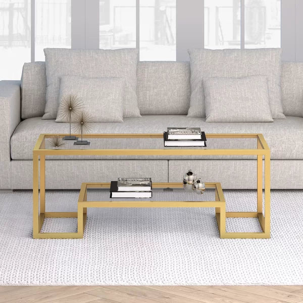 Shumake Frame Coffee Table with Storage 17 x 45 x 20