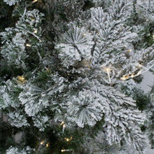 Load image into Gallery viewer, Sierra White Fir Artificial Christmas Tree with Clear/White Lights
