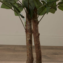 Load image into Gallery viewer, Silk Bush Ficus Tree in Planter 7061
