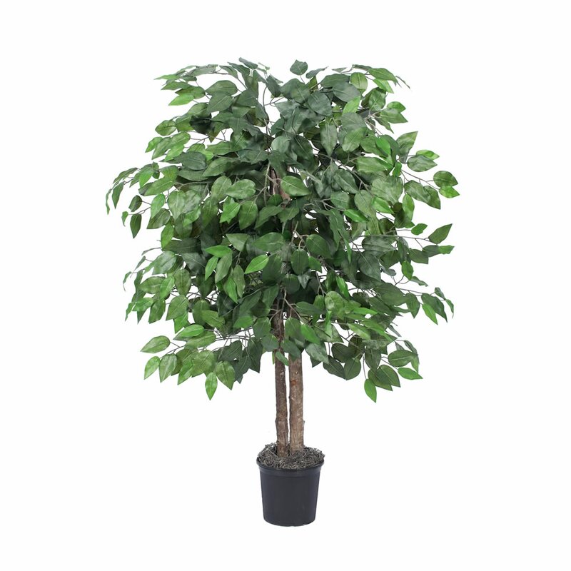 Silk Bush Ficus Tree in Planter 7061