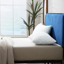 Load image into Gallery viewer, Standard 24&#39;&#39; H X 16&#39;&#39; W Springer Shredded Memory Foam Medium Support Pillow (Set of 2)
