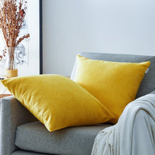 Load image into Gallery viewer, 20&quot; x 20&quot; Square Chenille Pillow Cover (Set of 2)
