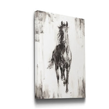 Load image into Gallery viewer, 36&quot; H x 24&quot; W x 1&quot; D Stallion I - Wrapped Canvas Print
