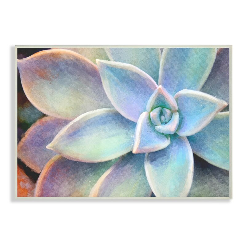 'Succulent Plant Vibrant Bloom' Graphic Art Print 2196CDR/GL