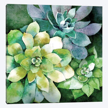 Load image into Gallery viewer, 37&quot; H x 37&quot; W x 1.5&quot; D Summer Succulents by Conrad Knutsen - Gallery-Wrapped Canvas Giclée
