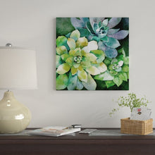 Load image into Gallery viewer, 37&quot; H x 37&quot; W x 1.5&quot; D Summer Succulents by Conrad Knutsen - Gallery-Wrapped Canvas Giclée
