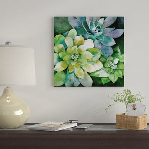 37" H x 37" W x 1.5" D Summer Succulents by Conrad Knutsen - Gallery-Wrapped Canvas Giclée