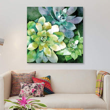 Load image into Gallery viewer, 37&quot; H x 37&quot; W x 1.5&quot; D Summer Succulents by Conrad Knutsen - Gallery-Wrapped Canvas Giclée
