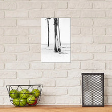 Load image into Gallery viewer, 12&quot; H x 8&quot; W x 0.75&quot; D Surf Board In Black And White by Sisi &amp; Seb - Photograph
