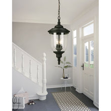 Load image into Gallery viewer, Dransfield 3 -Light Outdoor Pendant, #TB142
