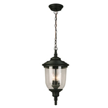 Load image into Gallery viewer, Dransfield 3 -Light Outdoor Pendant, #TB142
