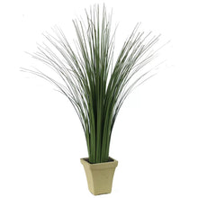 Load image into Gallery viewer, Tall Floor Grass in Pot
