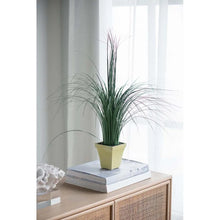 Load image into Gallery viewer, Tall Floor Grass in Pot
