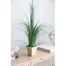 Load image into Gallery viewer, Tall Floor Grass in Pot
