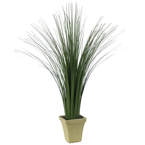Tall Floor Grass in Pot(2404RR)