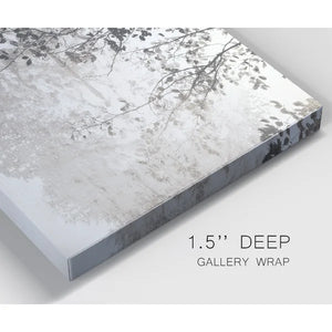 32" H x 48" W x 1" D Taupe Soft Reflection - Wrapped Canvas Print