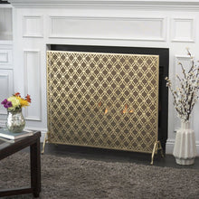 Load image into Gallery viewer, Tennison Single Panel Iron Fireplace Screen MRM1919
