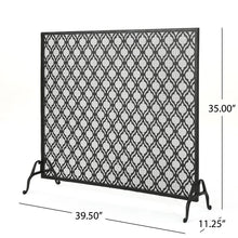 Load image into Gallery viewer, Tennison Single Panel Iron Fireplace Screen
