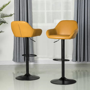 Thibodeaux Swivel Adjustable Height Bar Stool (Set of 2)