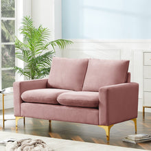 Load image into Gallery viewer, Treutlen Rose Velvet 55&quot; Square Arm Loveseat (SB1713)
