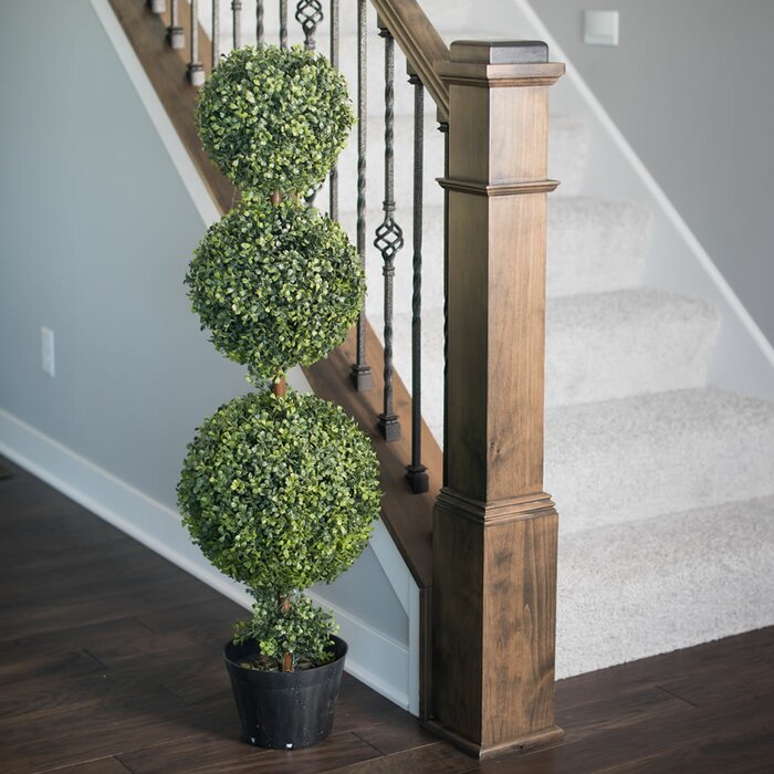 Triple Ball Boxwood Topiary in Pot #2181HW