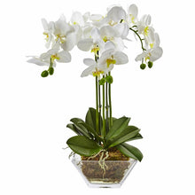 Load image into Gallery viewer, Triple Phalaenopsis Orchid Floral Arrangement in Vase
