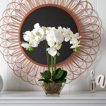 Load image into Gallery viewer, Triple Phalaenopsis Orchid Floral Arrangement in Vase
