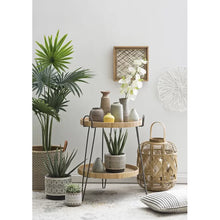 Load image into Gallery viewer, Tristin Stoneware Pot Planter
