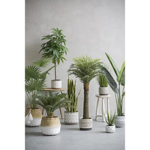 Load image into Gallery viewer, Tristin Stoneware Pot Planter
