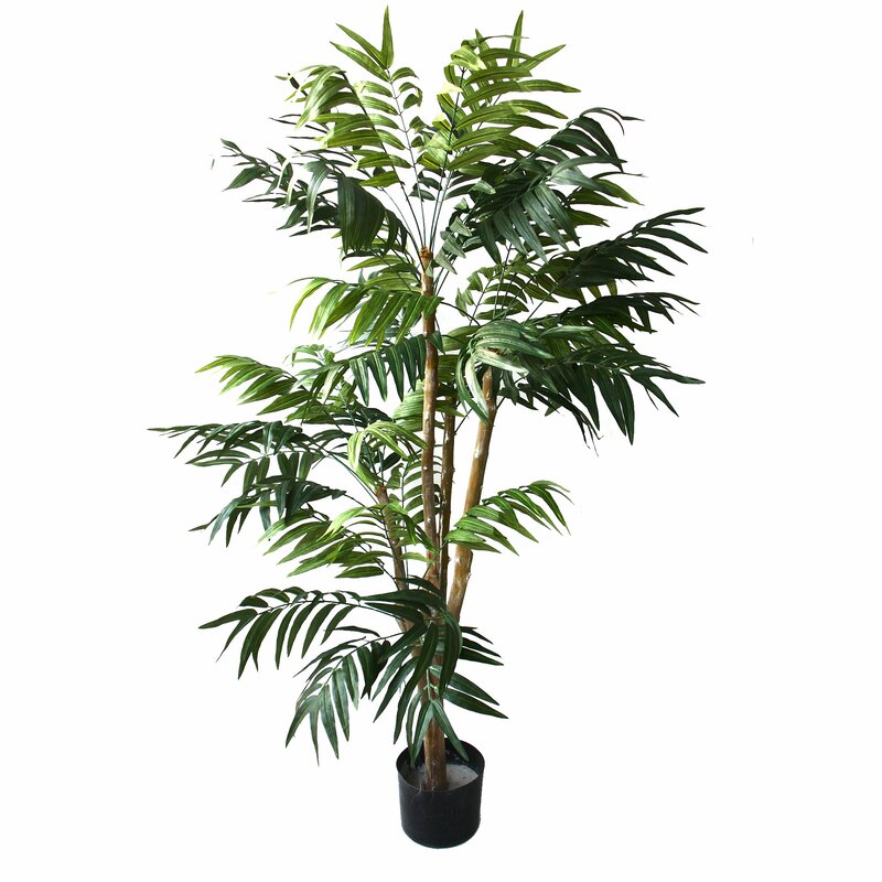 Tropical Palm Tree in Pot SB1837