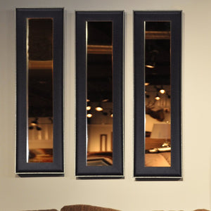 37.5" H x 9.5" W Black Truluck Farmhouse Accent Mirror 1056AH