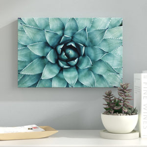 16" x 24" 'Turquoise Succulent' Wrapped Canvas (LW270)