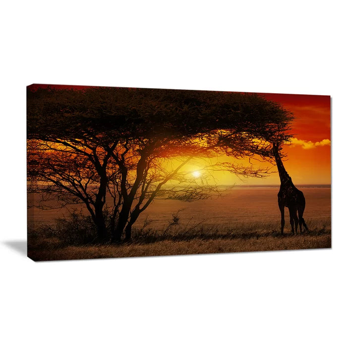 Typical African Sunset With Giraffe - Wrapped Canvas Photograph, 16