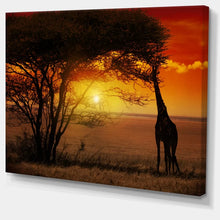 Load image into Gallery viewer, Typical African Sunset With Giraffe - Wrapped Canvas Photograph, 16&quot; H x 32&quot; W x 1&quot; D
